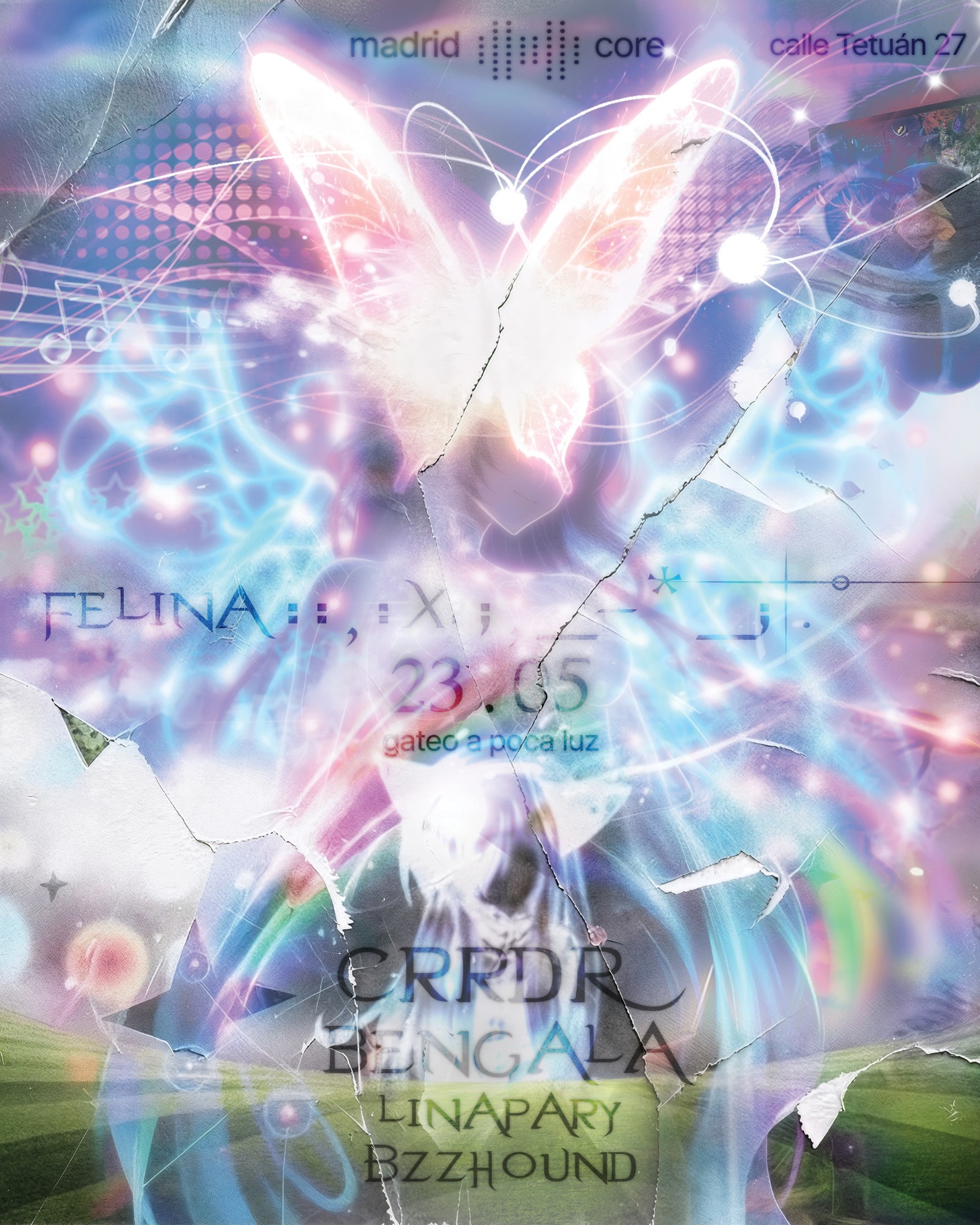 Felina · Gateo a Poca Luz